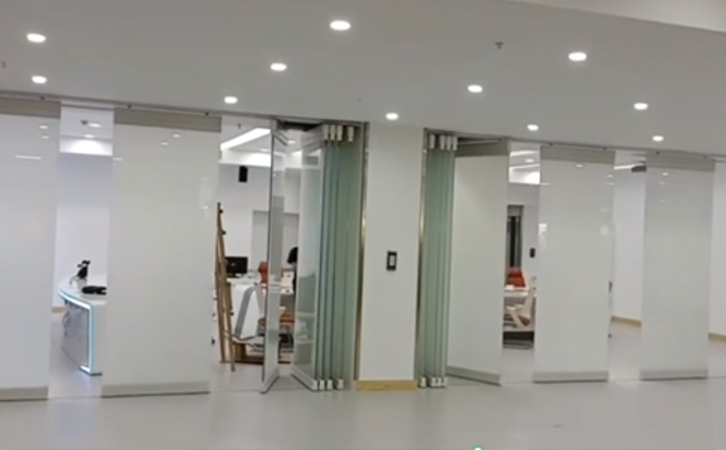 Office partition automatic door